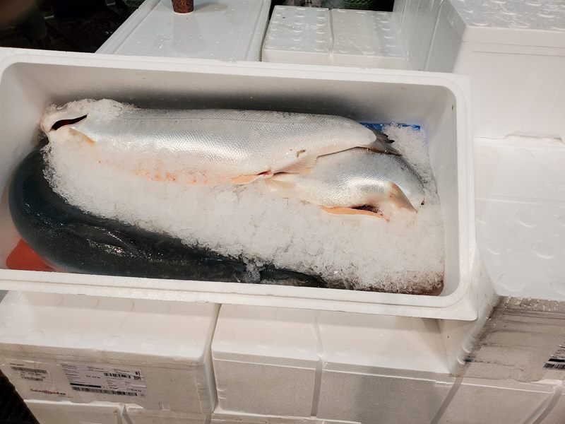 Longwood Fish Market food